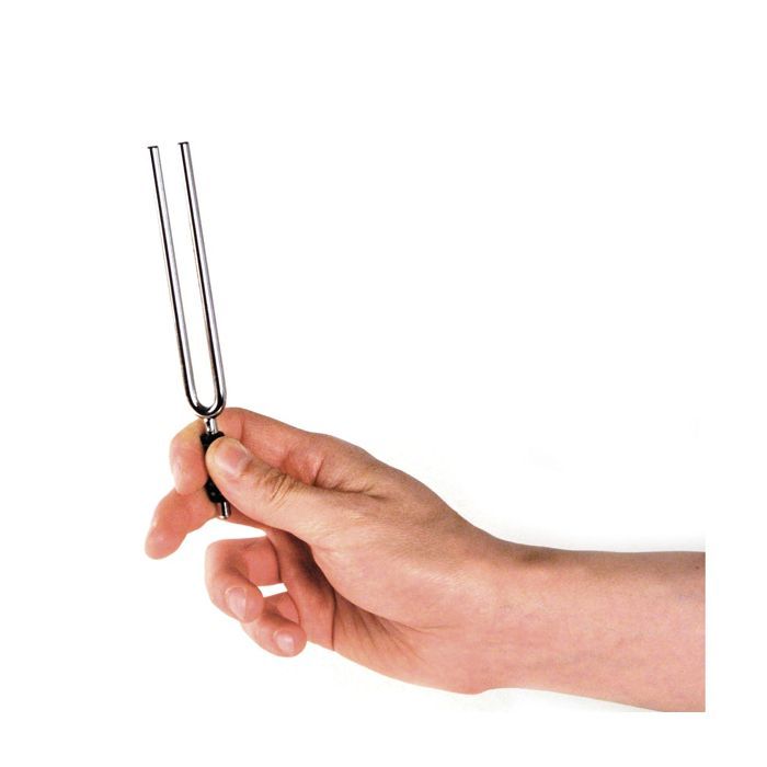 Камертон D'Addario Tuning Fork (E) (PWTF-E) изображение 2
