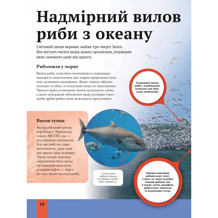 Книга Дитяча енциклопедія довкілля Vivat (9786171704831) зображення 10