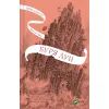 Книга Буря лун (Крізь дзеркала #4) - Крістелль Дабос Vivat (9786171709485)