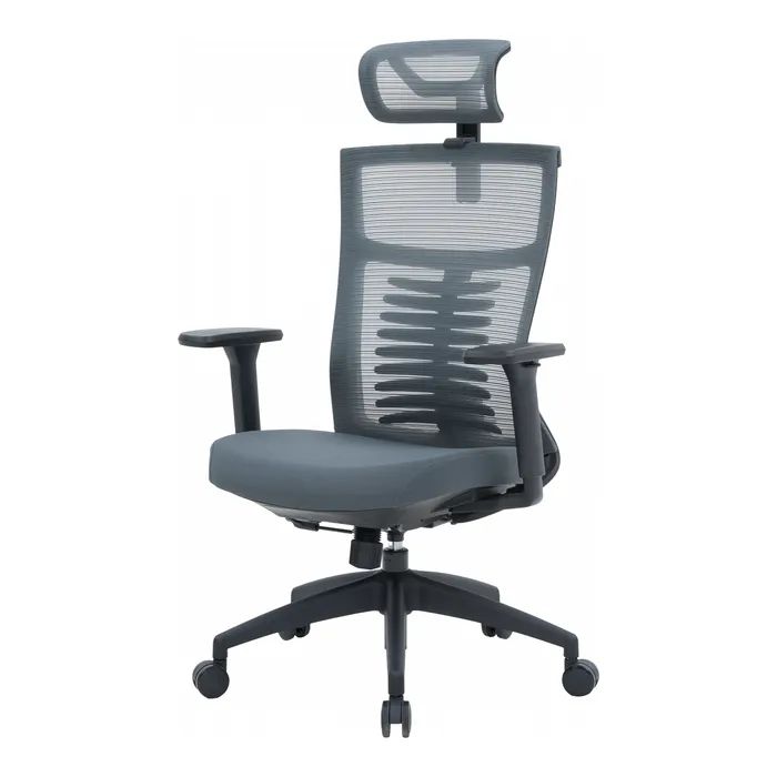 Офісне крісло OfficePro Balance OC550-B-DG-DG (OC550-B-DG-DG) зображення 2