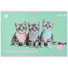 Альбом для рисования Kite Studio Pets, 12 листов (SP25-241) изображение 3