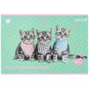 Альбом для рисования Kite Studio Pets, 12 листов (SP25-241) изображение 3
