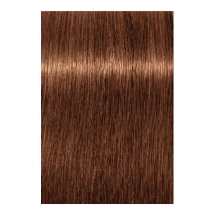 Краска для волос Schwarzkopf Professional Igora Royal 6-00 60 мл (4045787204766) изображение 2
