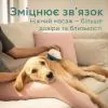 Іграшка для котів Beurer Buddy (PP 410 Buddy) зображення 5
