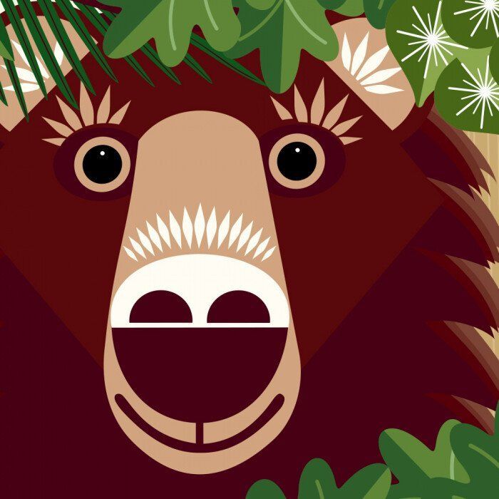 Книга Лісова компанія - Мадлєн Роджерс Ранок (9789667490133) зображення 5