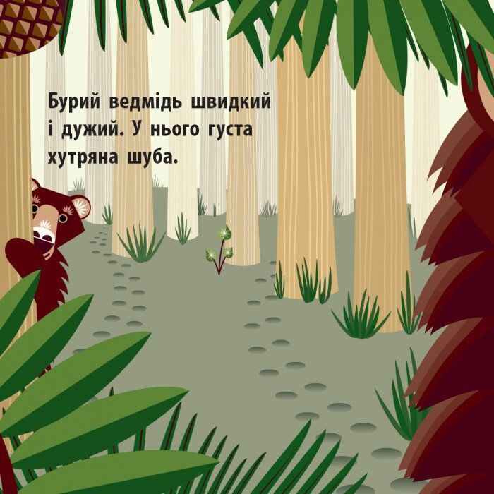 Книга Лісова компанія - Мадлєн Роджерс Ранок (9789667490133) зображення 5