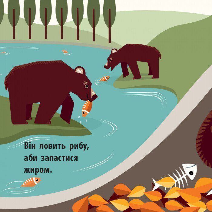 Книга Лісова компанія - Мадлєн Роджерс Ранок (9789667490133) зображення 6