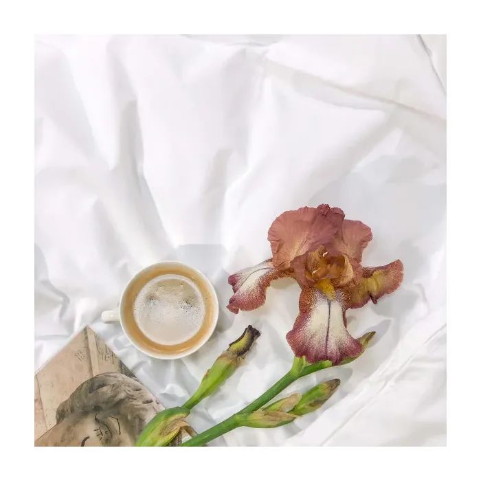 Постільна білизна Viluta ранфорс двоспальний Білий (rfrs_white_dv) зображення 2