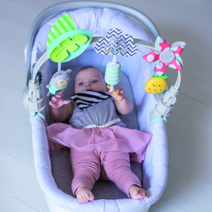 Дуга для коляски Taf Toys Тропический оркестр (12135) изображение 5