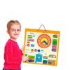Развивающая игрушка Viga Toys Календарь магнитный англ. (50377) изображение 4