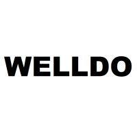 Девелопер Sharp AR-5516/5520/MX-M160/200, AR205DV, 300г/пакет Welldo (AR205DV-WD)