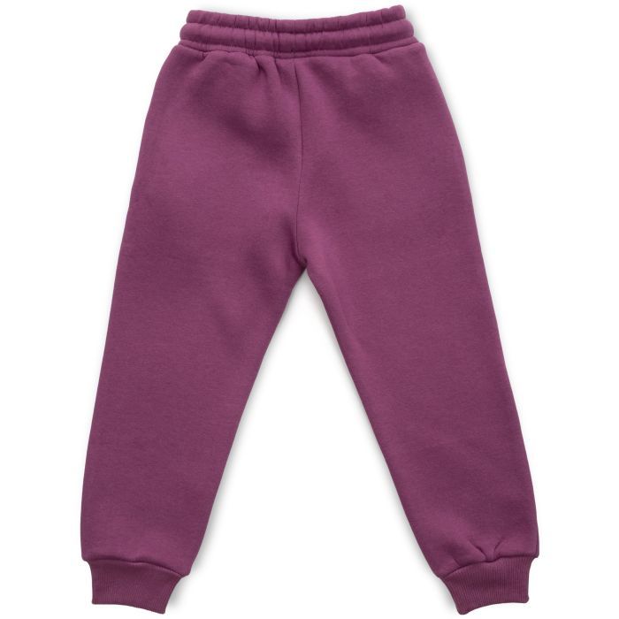 Штаны детские Cloise спортивные на флисе (CL0154012-152G-purple) изображение 2