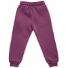 Штани дитячі Cloise спортивні на флісі (CL0154012-152G-purple) зображення 2