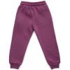Штаны детские Cloise спортивные на флисе (CL0154012-152G-purple) изображение 2