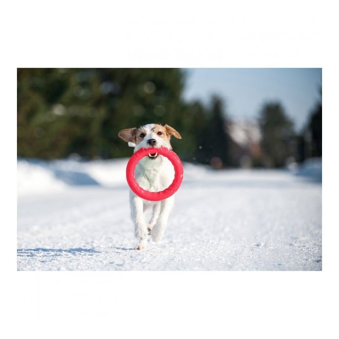 Игрушка для собак Collar PitchDog Кольцо для апортировки 17 см розовое (62367) изображение 3