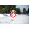 Игрушка для собак Collar PitchDog Кольцо для апортировки 17 см розовое (62367) изображение 3