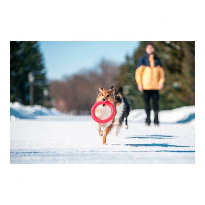 Игрушка для собак Collar PitchDog Кольцо для апортировки 17 см розовое (62367) изображение 4