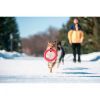 Игрушка для собак Collar PitchDog Кольцо для апортировки 17 см розовое (62367) изображение 4