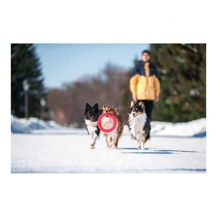 Игрушка для собак Collar PitchDog Кольцо для апортировки 17 см розовое (62367) изображение 5
