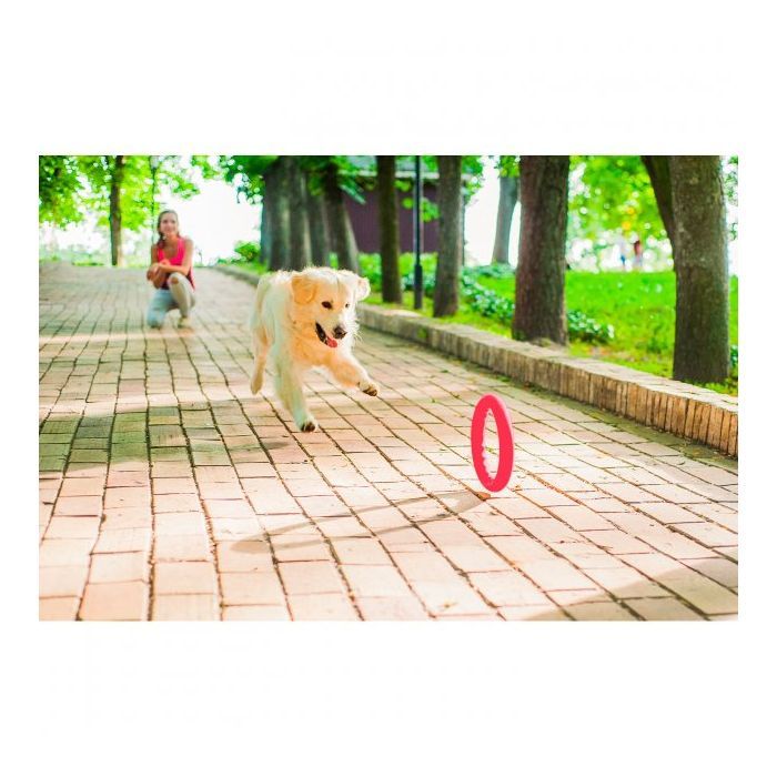 Игрушка для собак Collar PitchDog Кольцо для апортировки 17 см розовое (62367) изображение 6