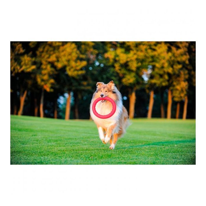 Игрушка для собак Collar PitchDog Кольцо для апортировки 17 см розовое (62367) изображение 8