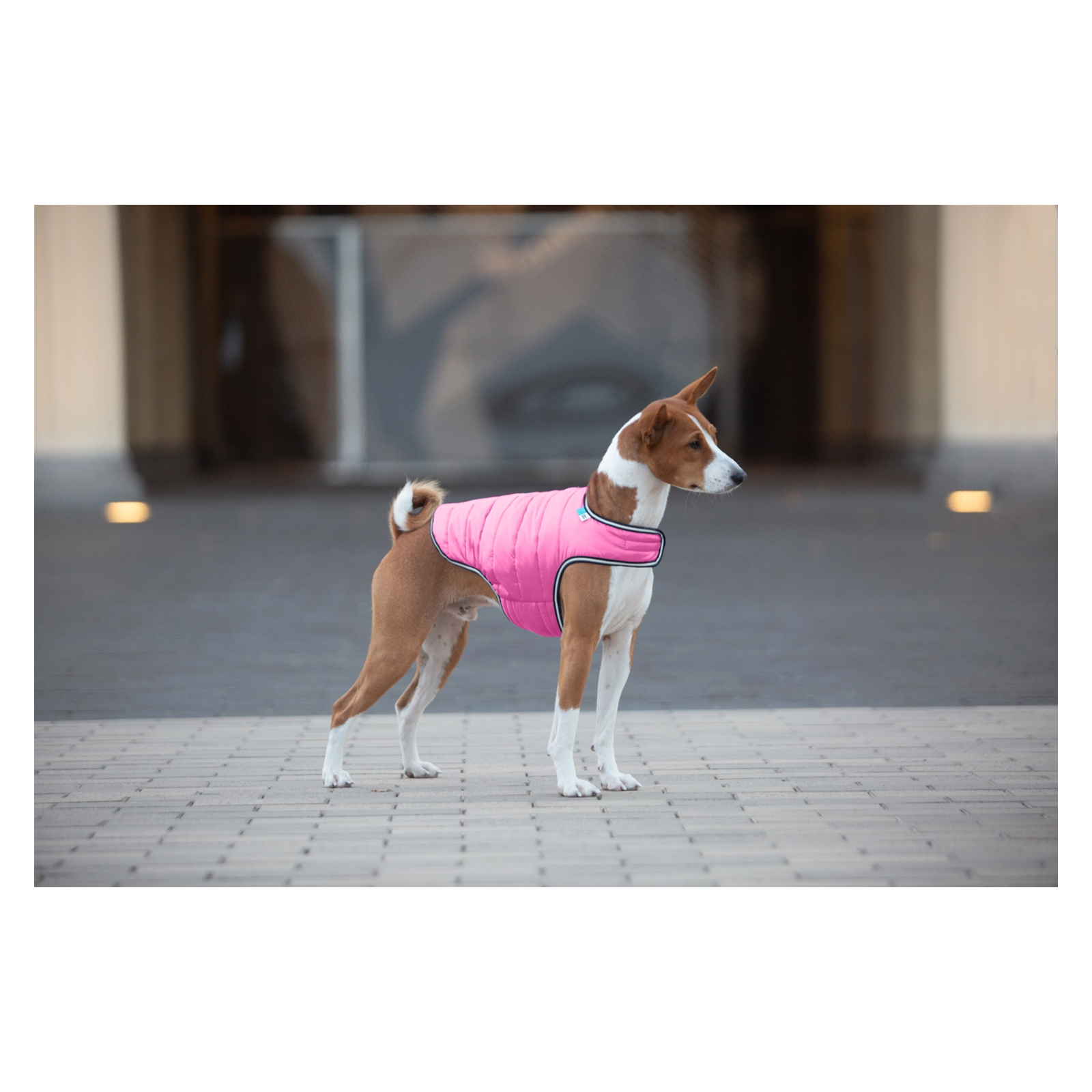 Курточка для животных Airy Vest S розовая (15427) изображение 4
