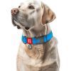 Ошейник для животных WAUDOG Waterproof с QR паспортом пластиковый фастекс XXL голубой (25112) изображение 4
