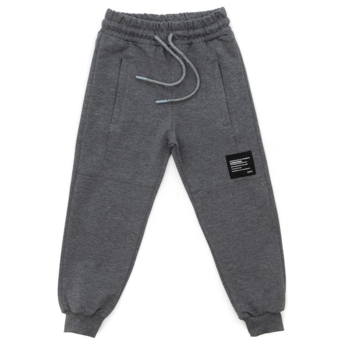 Штаны детские Joi спортивные (A-290-140B-gray)