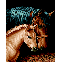 Фото - Картина ZiBi  по номерам  Пара коней 40*50 см ART Line  ZB.64244 (ZB.64244)