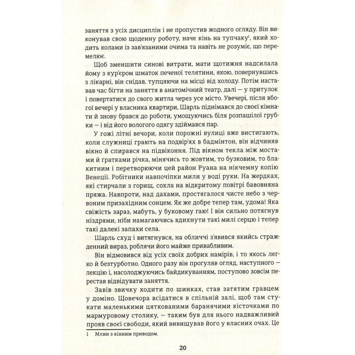 Книга Пані Боварі - Гюстав Флобер #книголав (9786177563111) зображення 12