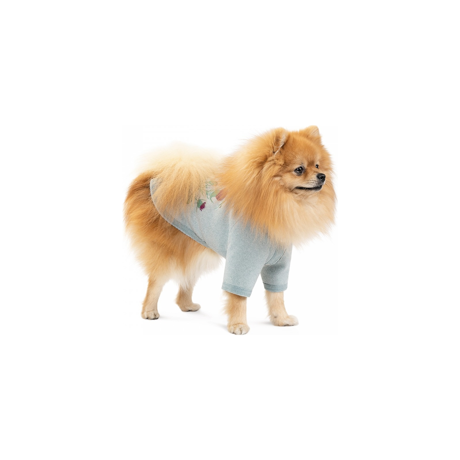 Свитер для животных Pet Fashion Denis XS2 мятный (4823082434602) изображение 3