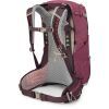 Рюкзак туристичний Osprey Sirrus 24 elderberry purple/chiru tan O/S (009.3593) зображення 2