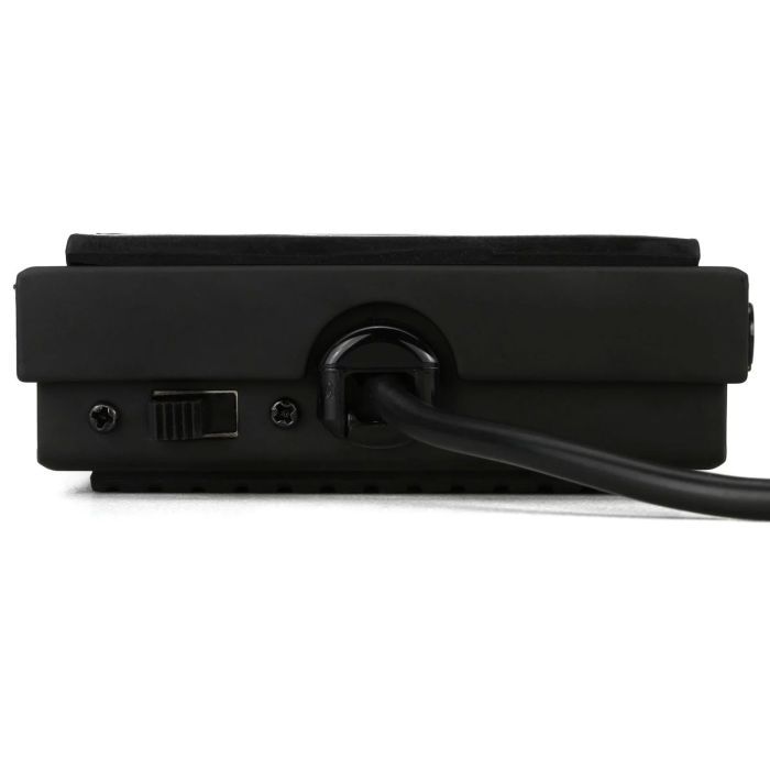 Педаль для клавишных M-Audio SP-1 изображение 2