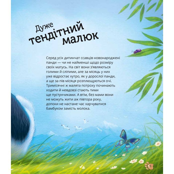Книга Наймиліші малюки тварин - Алехандро Альґарра Vivat (9786171705302) зображення 6