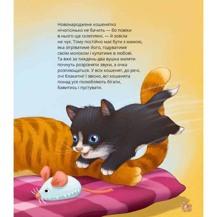 Книга Наймиліші малюки тварин - Алехандро Альґарра Vivat (9786171705302) зображення 8