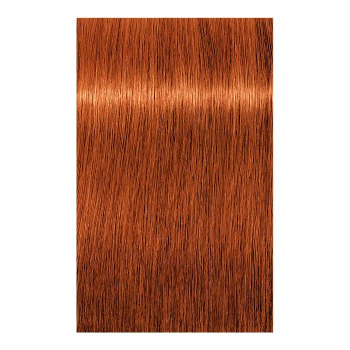 Краска для волос Schwarzkopf Professional Igora Royal 6-00 60 мл (4045787204766) изображение 2
