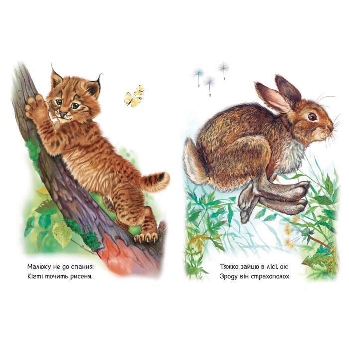 Книга Малятам про звіряток. Лісові звірята. Збірник - Геннадій Меламед Ранок (9786170978752) зображення 2