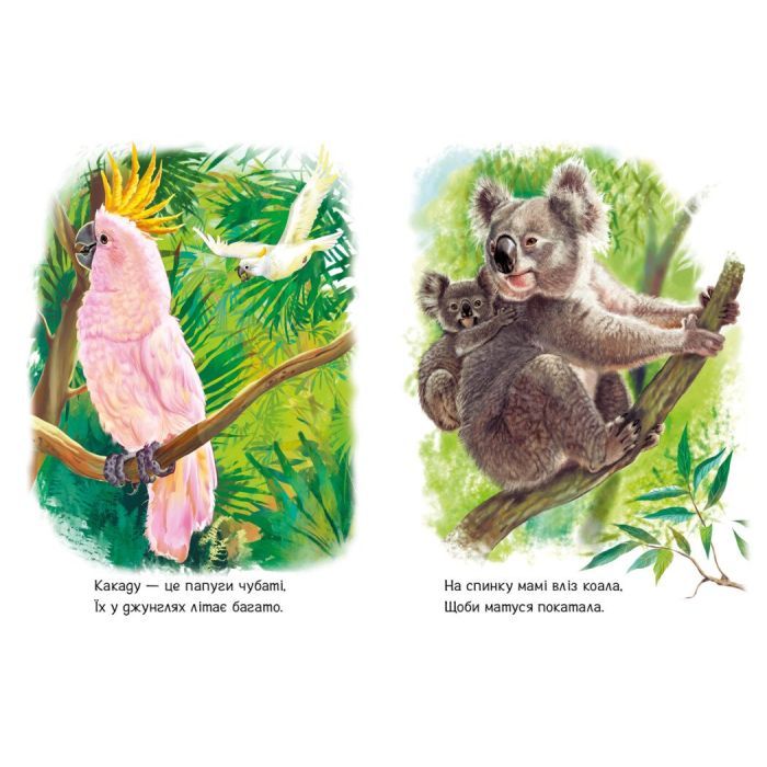 Книга Малятам про звіряток. Лісові звірята. Збірник - Геннадій Меламед Ранок (9786170978752) зображення 3