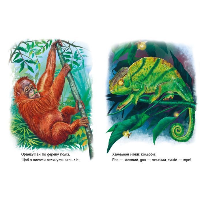 Книга Малятам про звіряток. Лісові звірята. Збірник - Геннадій Меламед Ранок (9786170978752) зображення 4