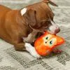 Іграшка для собак Outward Hound Durablez Mini Plush Лисиця 12.7x15.9 см (0700603681407) зображення 2