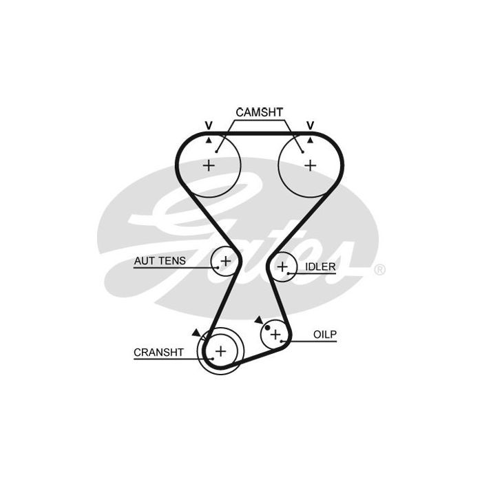 Ремень ГРМ Gates T313