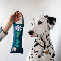 Игрушка для собак WAUDOG Fun "Рик и Морти 1" с пищалкой S (629-0280) изображение 5