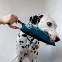 Игрушка для собак WAUDOG Fun "Рик и Морти 1" с пищалкой S (629-0280) изображение 7