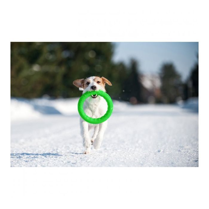 Игрушка для собак Collar PitchDog Кольцо для апортировки 17 см салатовое (62365) изображение 4