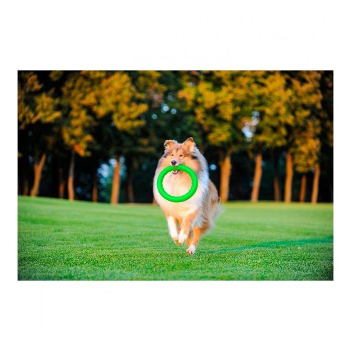 Игрушка для собак Collar PitchDog Кольцо для апортировки 17 см салатовое (62365) изображение 7