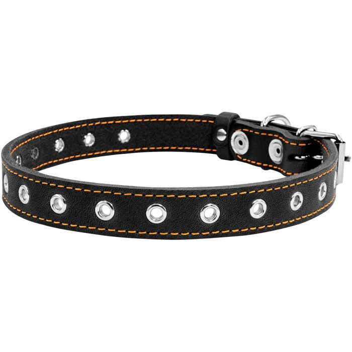 Нашийник для тварин Collar безрозмірний 20 мм 50 см (коричневий) (01516) зображення 2