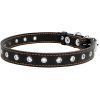 Нашийник для тварин Collar безрозмірний 20 мм 50 см (чорний) (01511) зображення 2