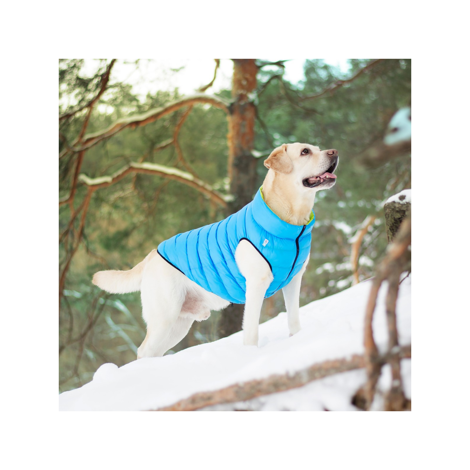 Курточка для животных Airy Vest двусторонняя S 35 салатово-голубая (1601) изображение 7