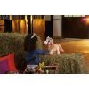 Интерактивная игрушка Hasbro FurReal Friends Пони Синамон серия (F4395) изображение 6