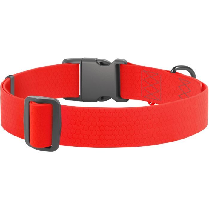 Ошейник для животных WAUDOG Waterproof с QR паспортом пластиковый фастекс XXL голубой (25112) изображение 2